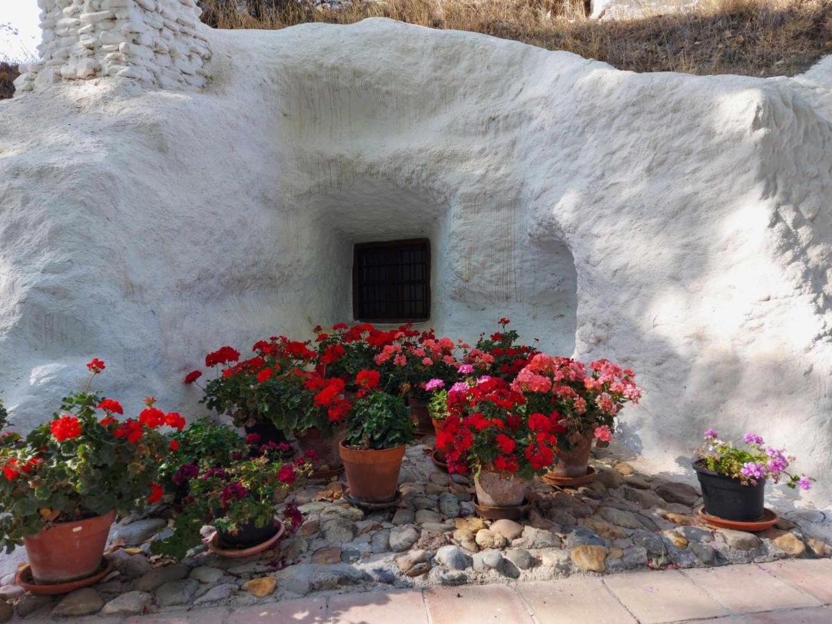 Cueva El Guindas Baza Ngoại thất bức ảnh